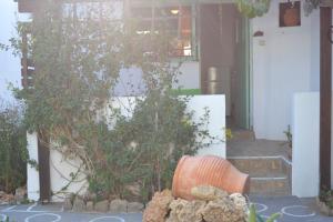 斯基罗斯岛Skyros Koxilas Studios的木桶坐在植物屋前