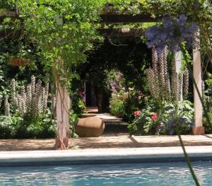 圣克鲁兹Hotel Boutique Quinta Maria的鲜花盛开的花园和游泳池