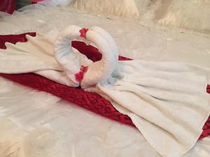 纳布卢斯Isra Hotel的两个白天鹅躺在红毯上