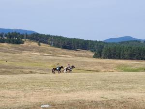 兹拉蒂博尔Zlatibor Hills LARA的两个人在田野里骑马