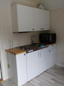 凯于庞厄尔Nedre Amla Fjord Apartment的厨房配有白色橱柜、水槽和微波炉