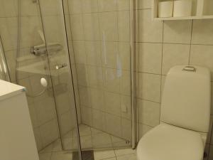 凯于庞厄尔Nedre Amla Fjord Apartment的一间带卫生间和玻璃淋浴间的浴室