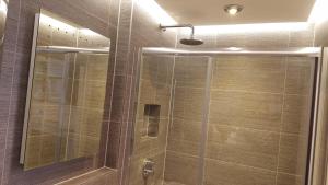 布莱顿霍夫布赖顿红蓝酒店的带淋浴的浴室和玻璃门