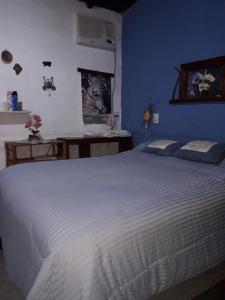 科洛尼亚卡洛斯佩莱格里尼Hospedaje San Cayetano的卧室配有白色的床和蓝色的墙壁