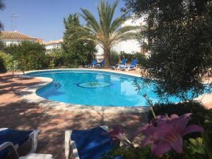 奥苏纳埃尔莫利诺酒店的一个带椅子的游泳池,并种植了棕榈树