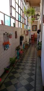 布宜诺斯艾利斯Casa Reina Palermo Queens的墙上挂着盆栽植物的走廊