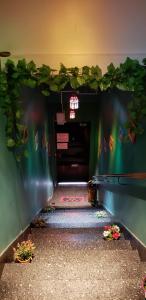 布宜诺斯艾利斯Casa Reina Palermo Queens的一间暗室,设有绿色的墙壁和走廊