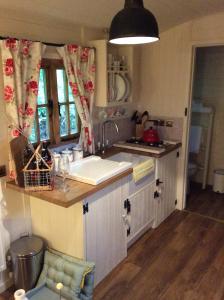 兰戈伦Llangollen Shepherds Huts的厨房配有水槽和台面