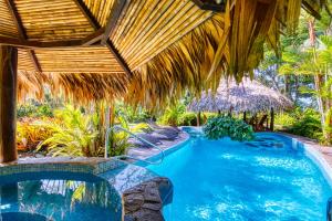 别霍港Hotel Banana Azul - Adults Only的度假村内草伞下的游泳池