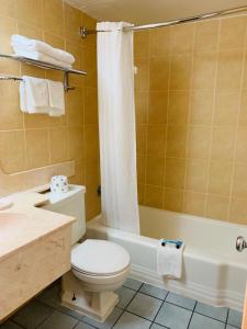 盖恩斯维尔盖恩斯维尔优值汽车旅馆的浴室配有卫生间、浴缸和水槽。