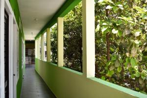 图斯特拉古铁雷斯HOTEL LOS PINOS CENTRO的走廊上设有绿树成荫的墙壁