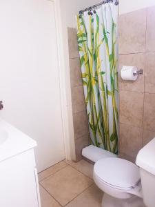 金斯敦新金斯顿住宿加早餐旅馆的一间带卫生间和淋浴帘的浴室