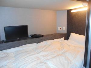 札幌BIZCOURT CABIN SUSUKINO (Male Only)的一间卧室配有一张床和一台平面电视