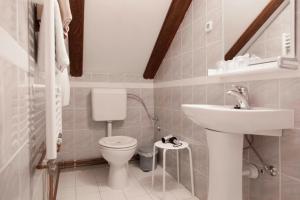 Graberje Ivanićko佩西恩科泽勒酒店的白色的浴室设有卫生间和水槽。