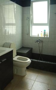 雅典经济实惠豪华花园公寓 的一间带卫生间和淋浴的浴室以及窗户。