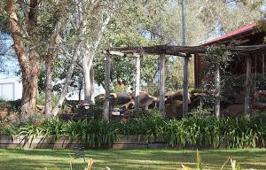 达博内陆酒窖乡村民宿的花园里的动物园展品,大象
