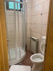 尼克希奇Turistički centar Vučje的一间带卫生间和淋浴的小浴室