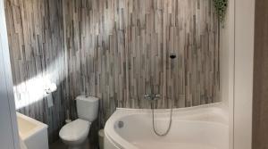锡尔沃斯瓦里德Bubble House - Apartmanok的带浴缸、卫生间和淋浴的浴室。