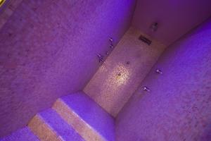 佩鲁贾瑞莱德尔奥摩酒店的享有带紫色照明的浴室的顶部景致