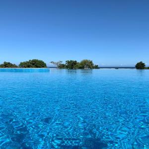 YanduaYadua Bay Resort & Villas的一大片蓝水,有树在背后