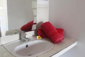 姆杜克瓦伦和一民宿的浴室设有水槽、镜子和红色毛巾