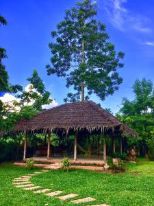 清道清道旅舍的茅屋,草屋顶,树