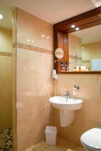 格雷文马赫西蒙广场酒店的一间带水槽、淋浴和卫生间的浴室