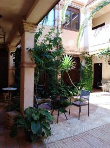 Retuerta de Bullaque拉文塔德尔艾瑞鸥酒店的一座带椅子和植物的庭院