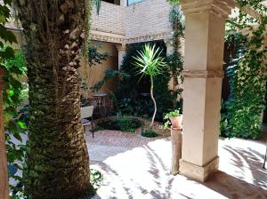 Retuerta de Bullaque拉文塔德尔艾瑞鸥酒店的棕榈树庭院和建筑