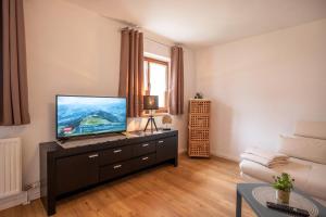 布里克森谷地霍普夫加尔滕Salven-Lodge的客厅配有梳妆台上的平面电视