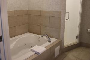 埃尔多拉多山埃尔多拉多山智选假日酒店的一间带浴缸的浴室,内配毛巾