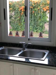 拉里奥哈LA MACARENA的厨房水槽,带纸杯蛋糕的窗户