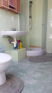 莱沃恰Ubytovanie Aďka的一间带水槽、淋浴和卫生间的浴室