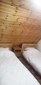 瓦勒博内Bujtinat e lugines Valbone的配有木天花板的客房内的两张床