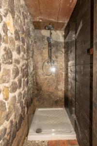 奥托亚克Vineyard Cottage Skatlar的带淋浴的浴室(带石墙)