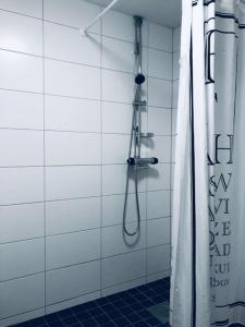 耶尔费拉Golden Hostel的带淋浴和浴帘的浴室