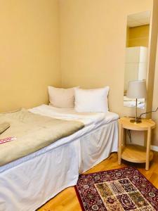 耶尔费拉Golden Hostel的小房间设有一张床和一张带台灯的桌子