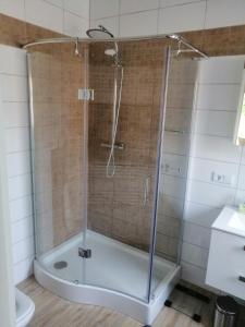 库尔迪加Kuldigas Holiday House的浴室里设有玻璃门淋浴