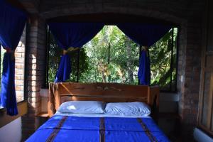 玛雅石斑鱼旅馆客房内的一张或多张床位