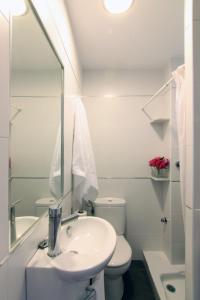 加的斯Apartamento Playa Victoria Cadiz的一间带水槽、卫生间和镜子的浴室