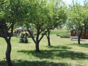 于克里茨Pension Achteridyll的一群树木在田野里,长着长凳