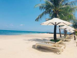 富国Gold Coast Phu Quoc Beach Resort的海滩上设有椅子和遮阳伞,还有大海