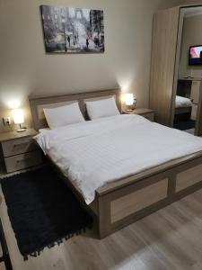乌斯季卡缅诺戈尔斯克Deluxe SPA-Hotel的一间卧室配有一张带白色床单和两盏灯的床。