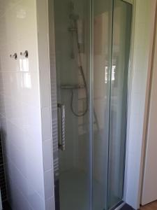 宁斯佩特De Bijsselse Enk, Noors chalet 3的浴室里设有玻璃门淋浴