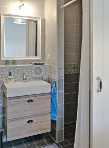 HarenB&B d'n Uilenhof Haren的一间带水槽、镜子和淋浴的浴室