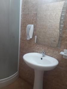 TrăisteniPensiunea Valea Negrasului的浴室设有白色水槽和镜子