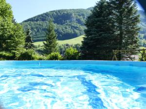 LosensteinGasthof Eisentor的一个种满树木和山脉的大型蓝色游泳池