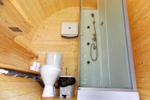 ValdemārpilsEzermala的木室里带搅拌器的浴室