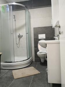 莫斯塔尔Studio apartment Noa的带淋浴、卫生间和盥洗盆的浴室
