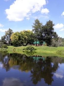克拉斯拉瓦格里耶姆基旅舍的一座有树木的湖泊和一座房子
